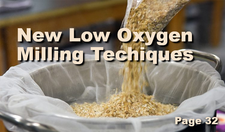 low_oxygen_brewing.jpg