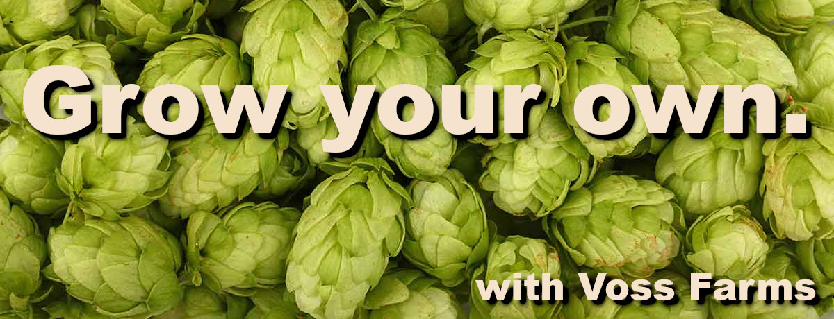 grow-your-own.jpg