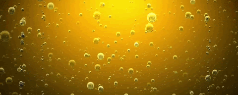 OTMP-Animated-Header.gif